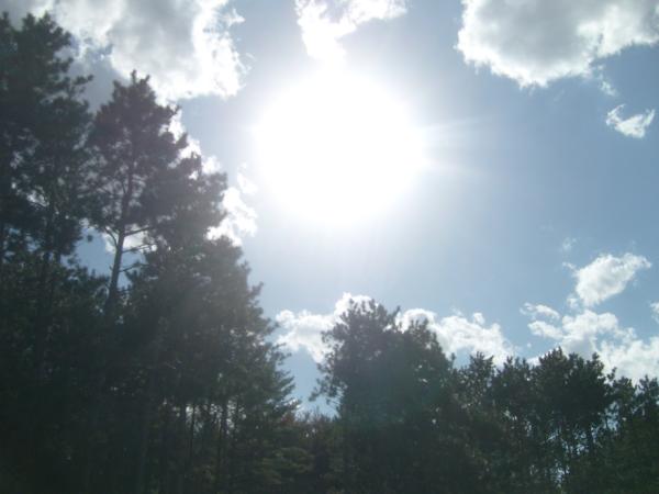 Nice sun