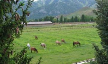 Sun Valley, Idaho, Vacation Rental Condo