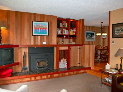 Living room with fireplace