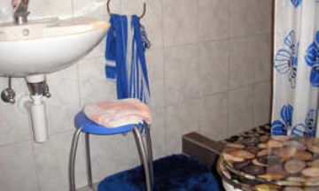 Meiringen, Berne, Vacation Rental Condo