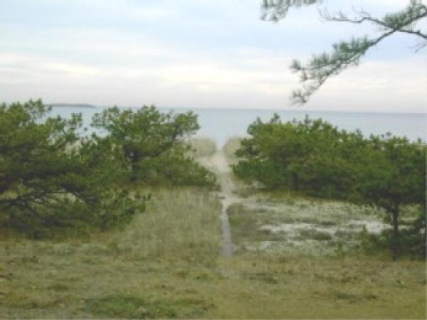 Path from house to the beach