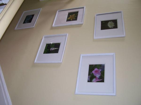 Pictures on Side Wall