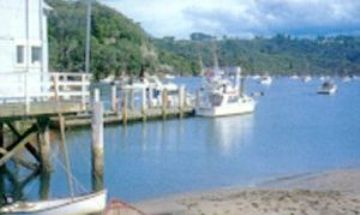 Whangamata, Coromandel, Vacation Rental House