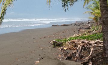 Palo Seco, Puntarenas, Vacation Rental House