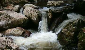 Mouth of Wilson, Virginia, Vacation Rental Cabin