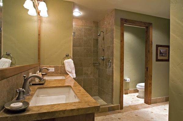 View of Bath Area and Toilet