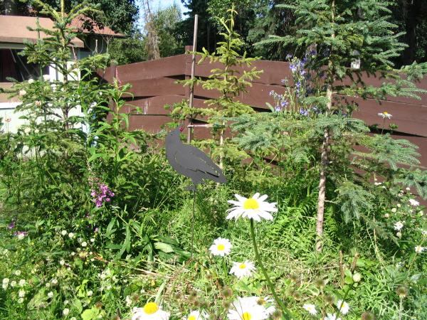 The Garden