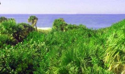North Captiva, Florida, Vacation Rental Villa