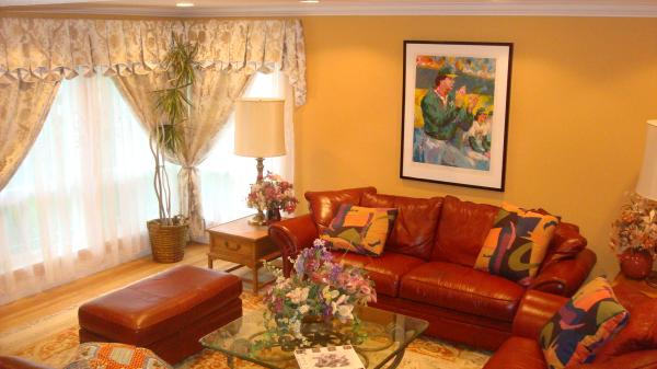 Living Room With Luxurious Leather Sofas