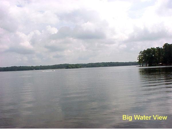 Big Water View