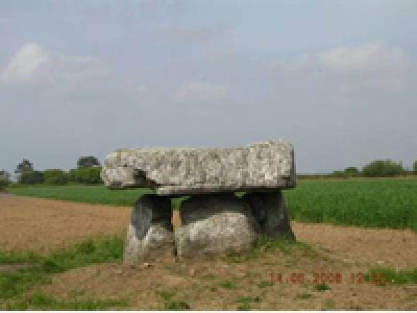 Ruins of the Ancient Abbey