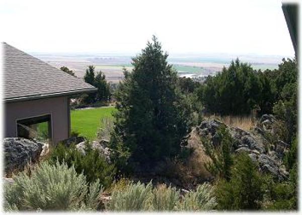 Gorgeous views of the valley and mountains 