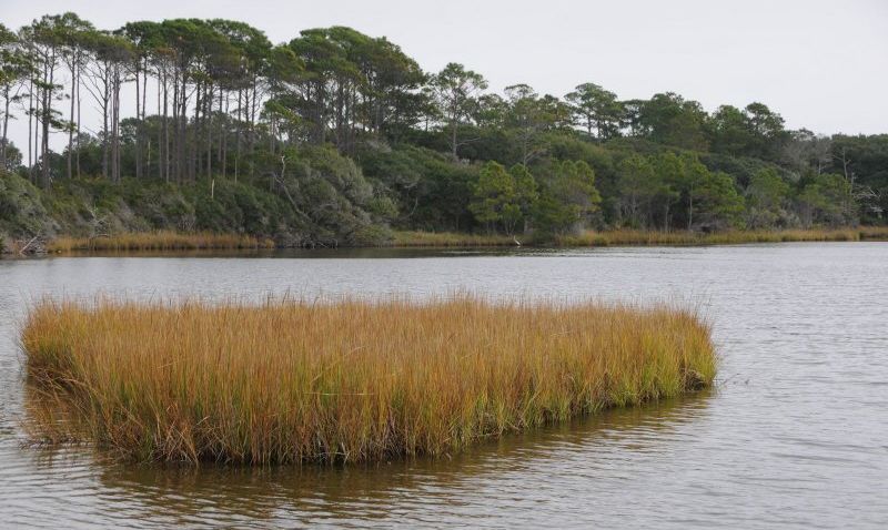 Kiawah Island, South Carolina, Vacation Rental Villa