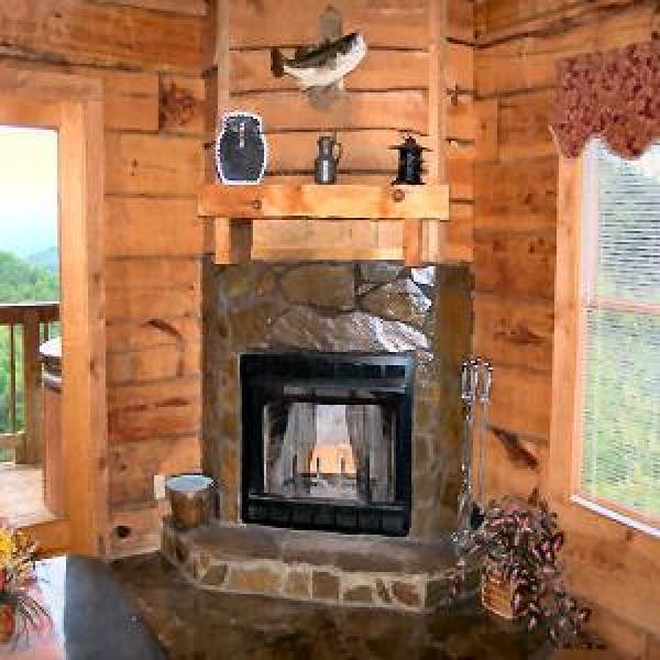 Woodburning Fireplace