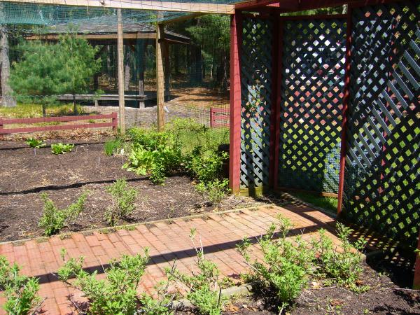 enclosed organic garden