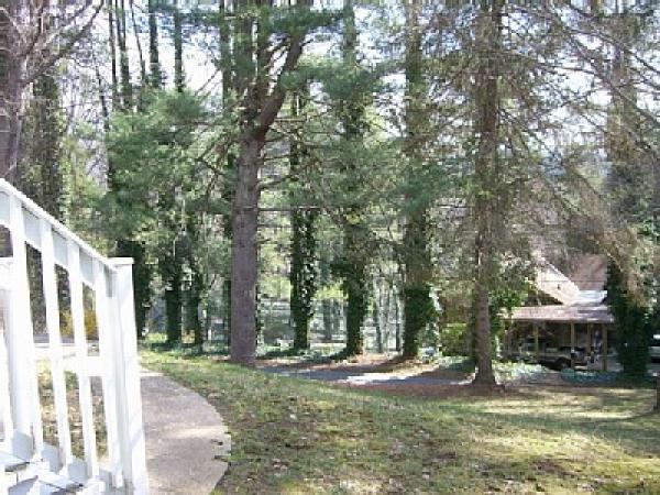 Outside View from Cottage