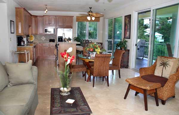 Lower Level Living Area and Kitchen