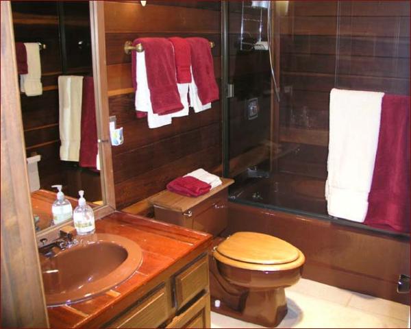 Downstairs Old Tahoe Style Bathroom
