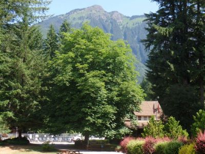 Snowline Community