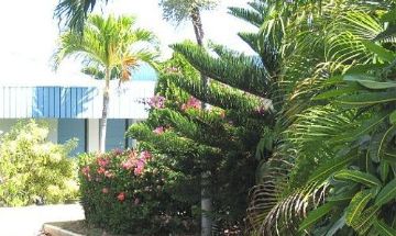 St. Croix, St. Croix, Vacation Rental House