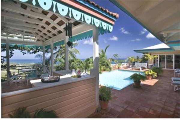 Gazebo with Professional Weber Grill
