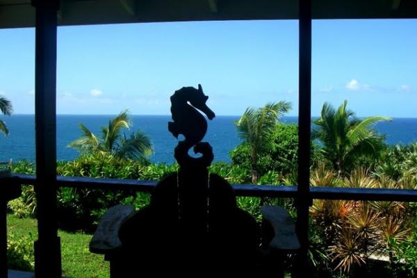 Sit in the Chair and Enjoy the View