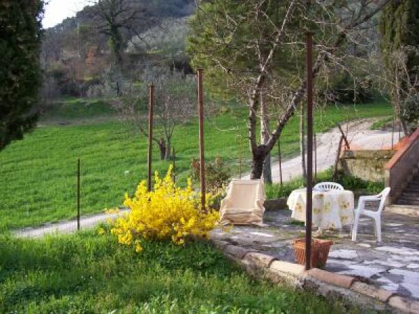 Garden Chairs