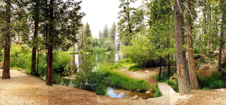 Resort Grounds
