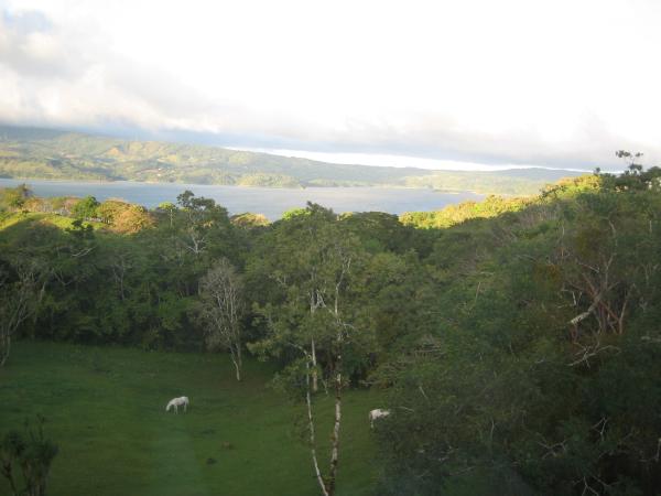 View from Upstairs Living Area