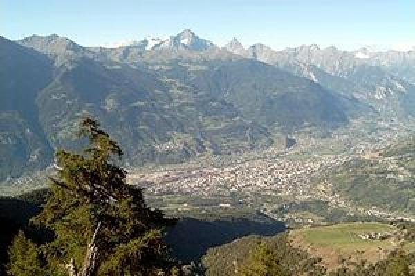 Panorama in Summer