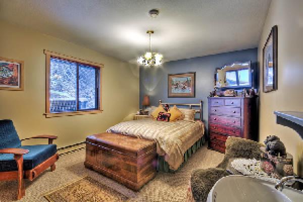 Black Bear Theme Room