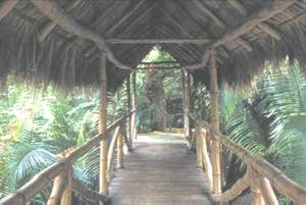 Outside view