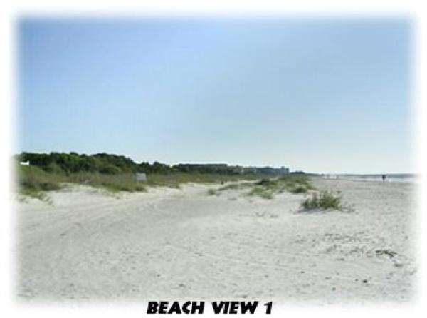 Beach View - fun in the sand and surf!