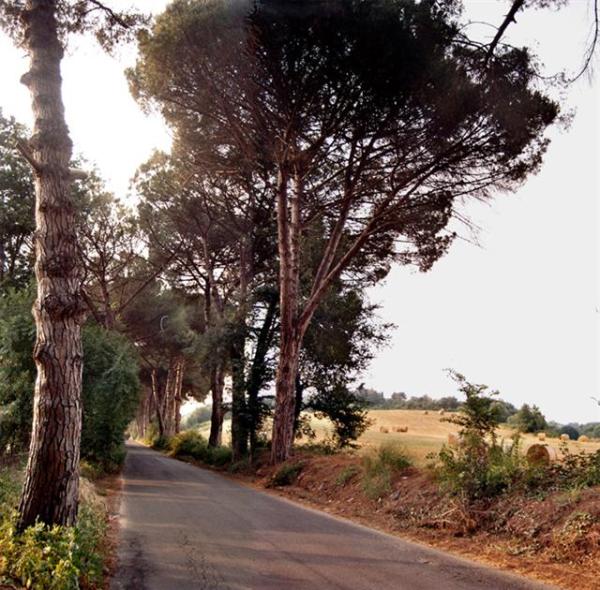 Way to House