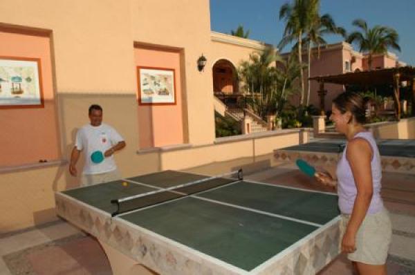 Ping Pong Table