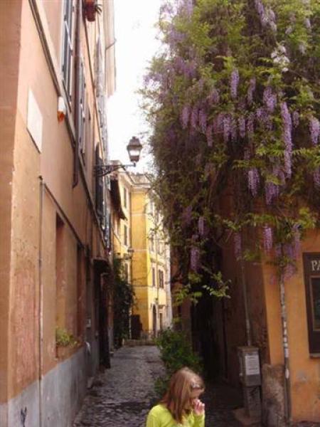 Vicolo Del Bologna