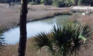 Seabrook Island, South Carolina, Vacation Rental Condo