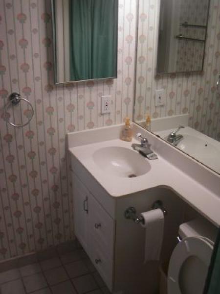 Another Area of Bathroom