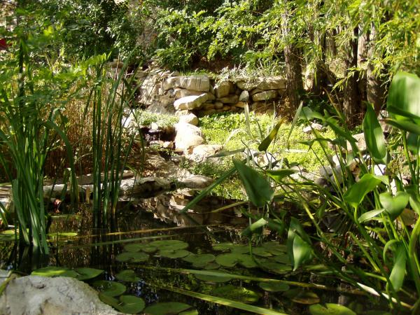 one of the gardenponds