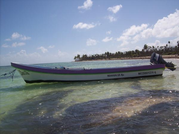 Available for Diving and Fishing