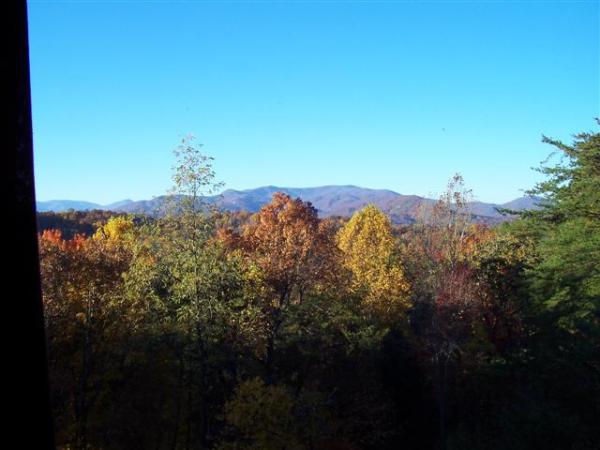 Fall Colors