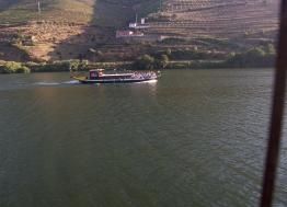 Quinta Do Loureiro: From the train