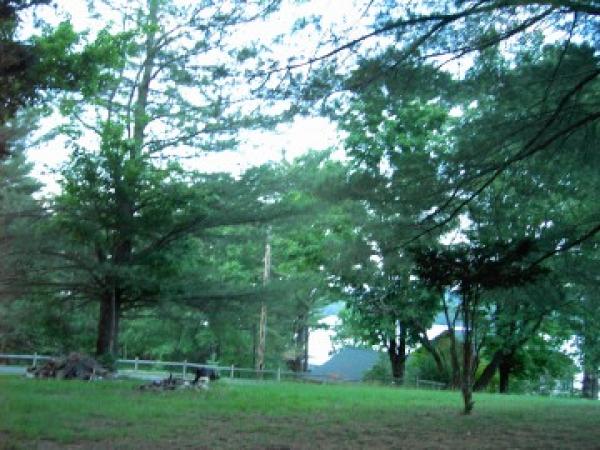 Hilltop Looking Down at 4th Lake East View