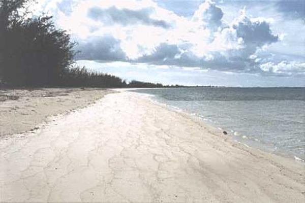 Beach View