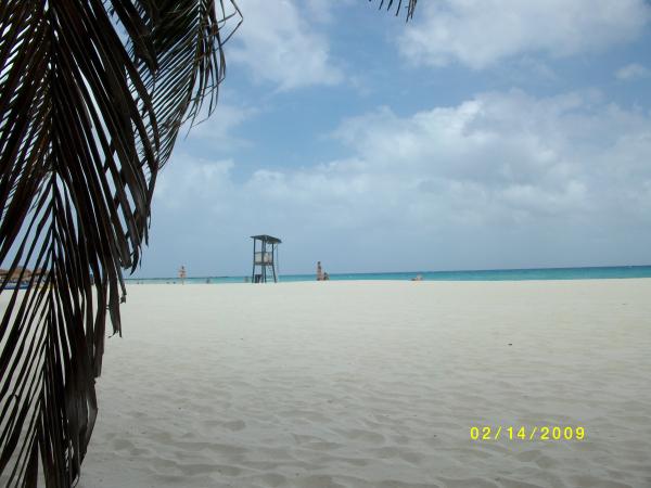 Just Relax under the Palms on Complex's Beach