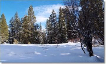 Truckee, California, Vacation Rental House