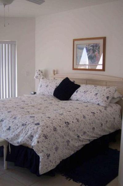 Master bedroom downstairs with a King size bed