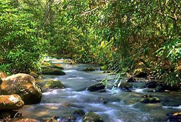 River View