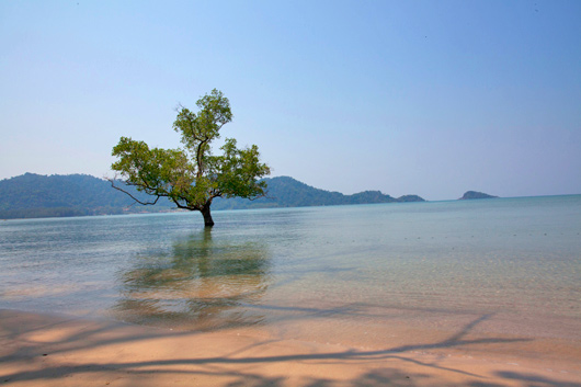 Koh Chang Vacation Rental Villa