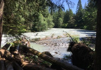 Nooksack river